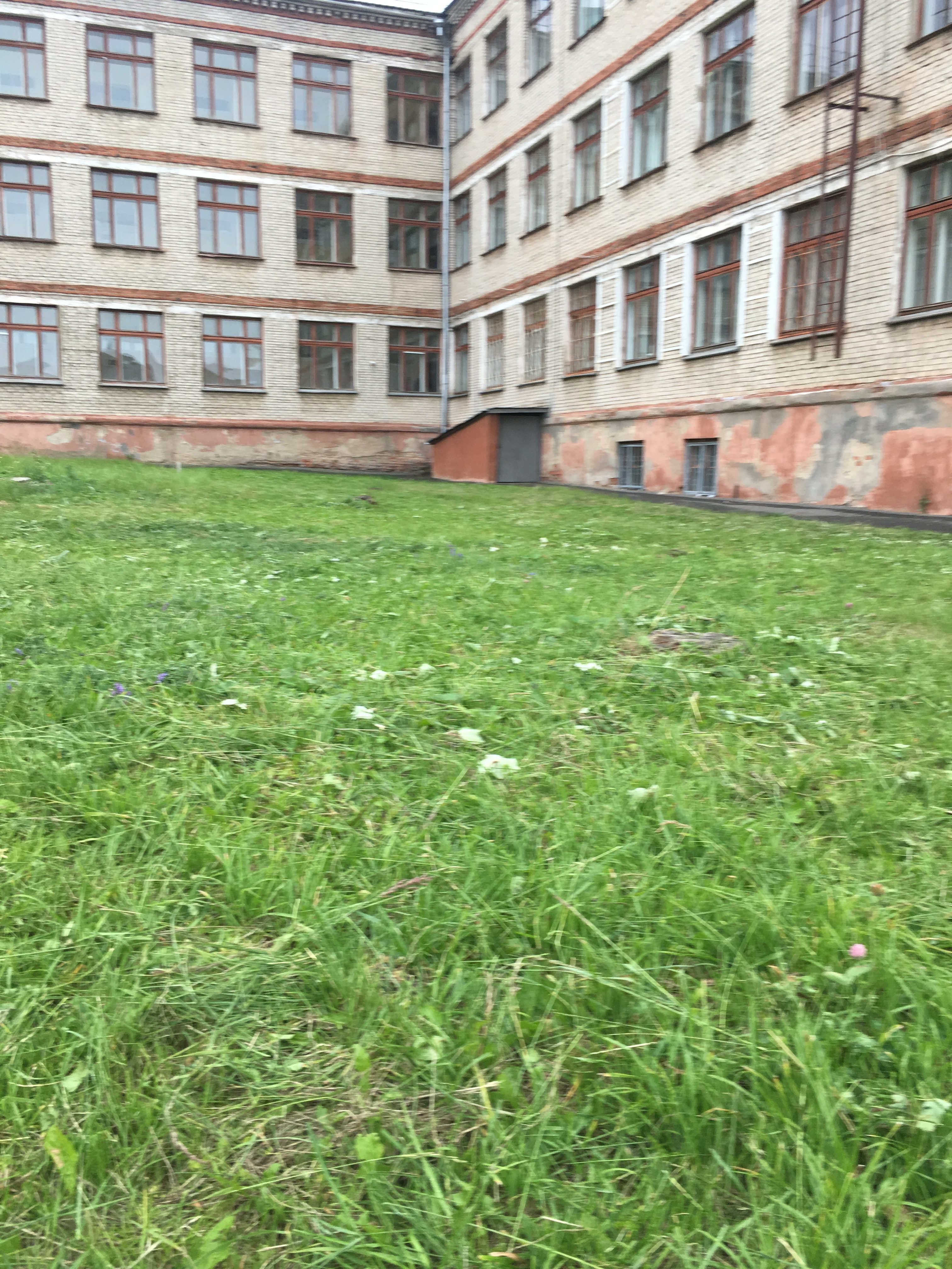 Школа 182 Фото